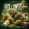 Hollywood Ghost (Regular) (space) Aficionado Seeds