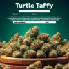 Turtle Taffy (Autoflower) (space) Atlas Seeds