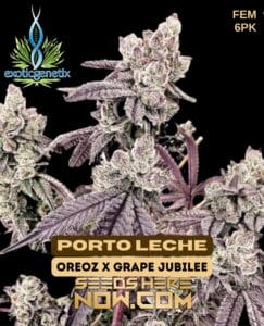 Porto Leche (feminized) - Exotic Genetix