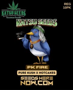 Pk Fire (regular) - Katsu Seeds