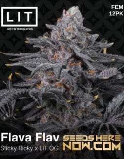 LIT Farms - Flava Flav {FEM} [12pk]Lit Farms - Flava Flav - {fem} [12pk]