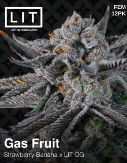 LIT Farms - Gas Fruit {FEM} [12pk]Lit Farms - Gas Fruit {fem} [12pk]