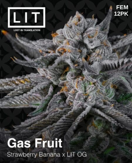 Lit Farms - Gas Fruit {fem} [12pk]