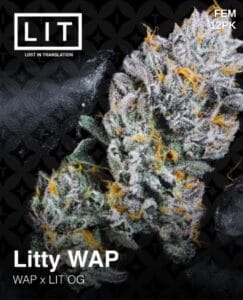 Litty Wap (feminized) - Lit Farms