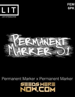 LIT Farms - Permanent Marker S1 {FEM} [6pk]Lit Farms - Permanent Marker S1 Fem 6pk Preorder