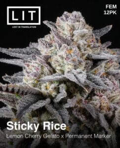 Sticky Rice (feminized) - Lit Farms
