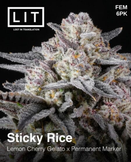 Lit Farms - Sticky Rice {fem} [6pk]