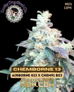 Chemborne 13 (regular) - Lucky Dog Seed Company