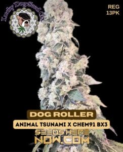 Dog Roller (regular) - Lucky Dog Seed Company