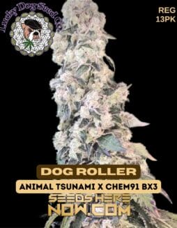 Lucky Dog Seed Company - Dog Roller {REG} [13pk]Lucky Dog Seed Company - Dog Roller {REG} [13pk]