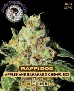 Raffi Dog (regular) - Lucky Dog Seed Company