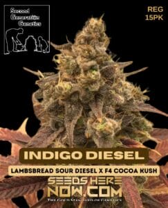 Indigo Diesel (Regular) - Second Generation Genetics
