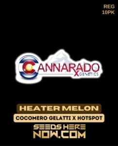 Heater Melon (regular) - Cannarado Genetics