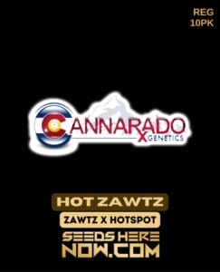 Hot Zawtz (Regular) - Cannarado Genetics
