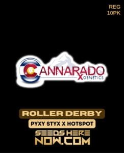 Roller Derby (regular) - Cannarado Genetics