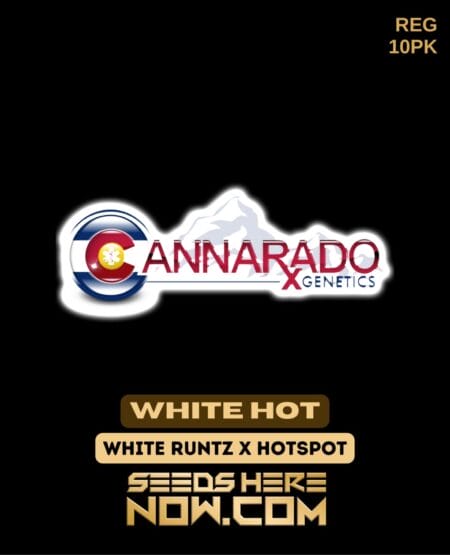 Cannarado Genetics - White Hot Reg 10pk