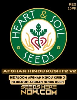 Heart & Soil Seeds - Afghan Hindu Kush F2 v2 {REG} [10pk]Heart & Soil Seeds - Afghan Hindu Kush F2 v2 {REG} [10pk]