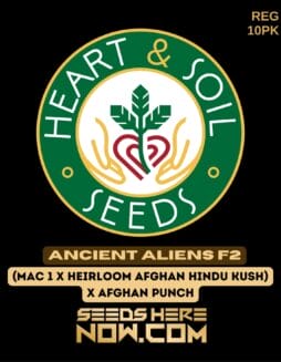 Heart & Soil Seeds - Ancient Aliens F2 {REG} [10pk]Heart & Soil Seeds - Ancient Aliens F2 {REG} [10pk]