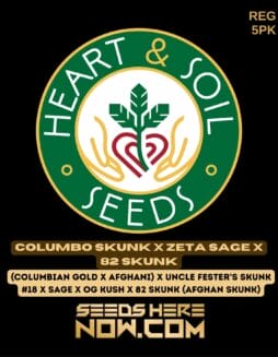 Heart & Soil Seeds - Columbo Skunk x Zeta SAGE x 82 Skunk {REG} [5pk]Heart & Soil Seeds - Columbo Skunk x Zeta SAGE x 82 Skunk {REG} [5pk]
