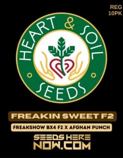 Heart & Soil Seeds - Freakin Sweet F2 {REG} [10pk]Heart & Soil Seeds - Freakin Sweet F2 {REG} [10pk]