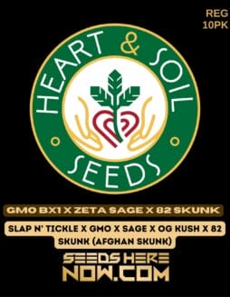 Heart & Soil Seeds - GMO BX1 x Zeta SAGE x 82 Skunk {REG} [10pk]Heart & Soil Seeds - GMO BX1 x Zeta SAGE x 82 Skunk {REG} [10pk]