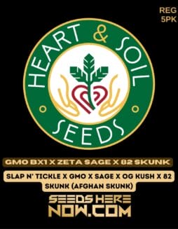 Heart & Soil Seeds - GMO BX1 x Zeta SAGE x 82 Skunk {REG} [5pk]Heart & Soil Seeds - GMO BX1 x Zeta SAGE x 82 Skunk {REG} [5pk]