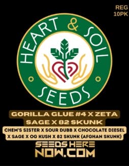 Heart & Soil Seeds - Gorilla Glue #4 x Zeta SAGE x 82 Skunk {REG} [10pk]Heart & Soil Seeds - Gorilla Glue #4 X Zeta Sage X 82 Skunk {reg} [10pk]