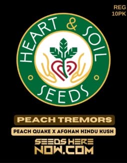Heart & Soil Seeds - Peach Tremors {REG} [10pk]Heart & Soil Seeds - Peach Tremors {REG} [10pk]