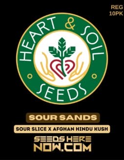 Heart & Soil Seeds - Sour Sands {REG} [10pk]Heart & Soil Seeds - Sour Sands {REG} [10pk]