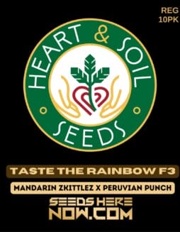 Heart & Soil Seeds - Taste the Rainbow F3 {REG} [10pk]Heart & Soil Seeds - Taste the Rainbow F3 {REG} [10pk]