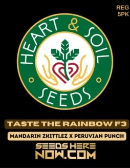Heart & Soil Seeds - Taste the Rainbow F3 {REG} [5pk]Heart & Soil Seeds - Taste the Rainbow F3 {REG} [5pk]
