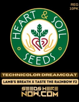 Heart & Soil Seeds - Technicolor Dreamcoat {REG} [10pk]Heart & Soil Seeds - Technicolor Dreamcoat {reg} [10pk]