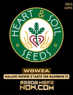 Heart & Soil Seeds - Wowza {REG} [10pk]Heart & Soil Seeds - Wowza {REG} [10pk]