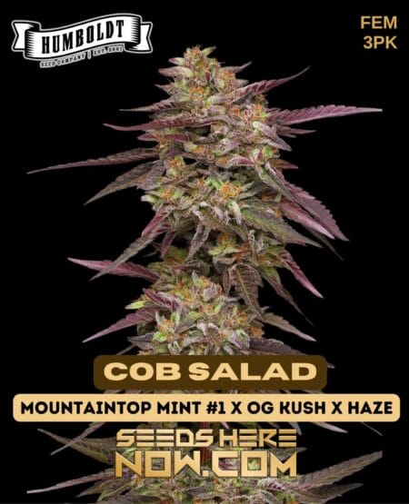 Humboldt Seed Company - Cob Salad Fem 3pk