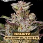 Donutz (Feminized) - Humboldt Seed Company