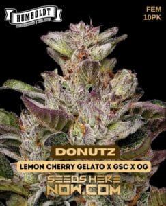 Donutz (feminized) - Humboldt Seed Company