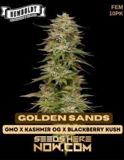Humboldt Seed Company - Golden Sands {FEM} [10pk]Humboldt Seed Company - Golden Sands {fem} [10pk]