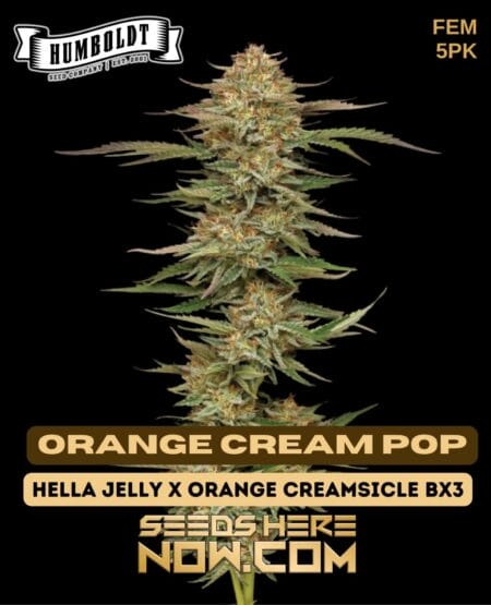 Humboldt Seed Company - Orange Cream Pop {fem} [5pk]