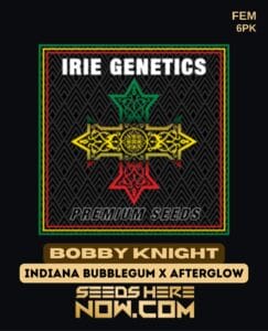 Bobby Knight (feminized) - Irie Genetics