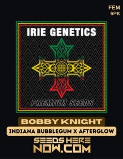 Irie Genetics - Bobby Knight {FEM} [6pk]Irie Genetics - Bobby Knight {fem} [6pk]