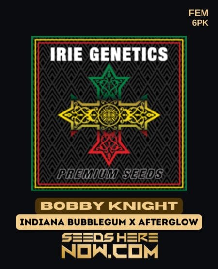 Irie Genetics - Bobby Knight {fem} [6pk]