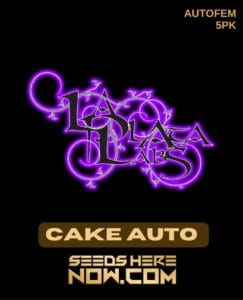 Cake Auto (wedding Cake) (autoflower) - La Plata Labs