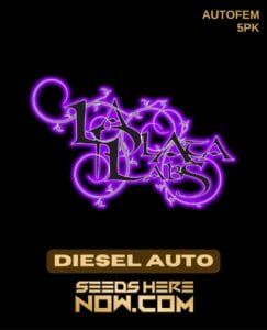 Diesel Auto (autoflower) - La Plata Labs