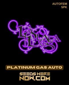 Platinum Gas Auto (autoflower) - La Plata Labs