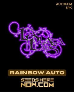 Rainbow Auto (zkittlez) (autoflower) - La Plata Labs