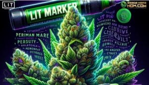 Lit Marker Strain Review: A Bold Fusion Of Potency And Flavor – LIT Marker Strain Review: A Bold Fusion of Potency and Flavor