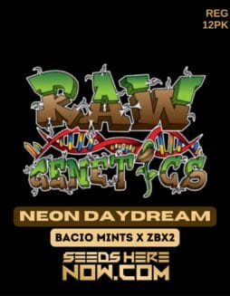 Raw Genetics - Neon Daydream {REG} [12pk]Raw Genetics - Neon Daydream {REG} [12pk]