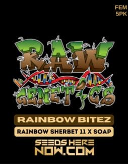 Raw Genetics - Rainbow Bitez {FEM} [5pk]Raw Genetics - Rainbow Bitez {fem} [5pk]