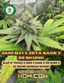 Heart & Soil Seeds - GMO BX1 x Zeta SAGE x 82 Skunk {REG} [5pk]GMO-BX1-x-Zeta-SAGE-x-82-Skunk
