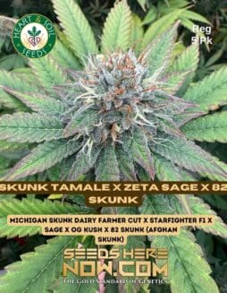 Heart & Soil Seeds - Skunk Tamale x Zeta SAGE x 82 Skunk {REG} [5pk]